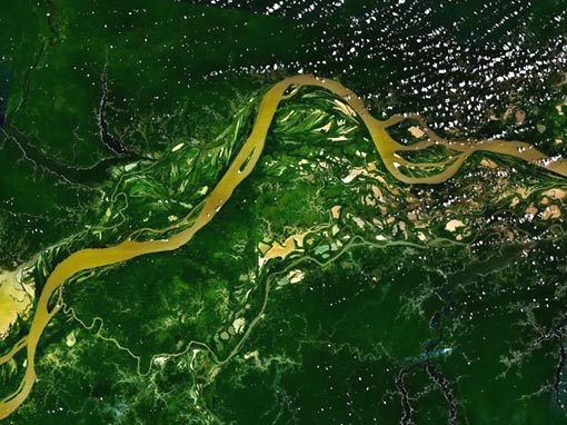 Amazon River Facts