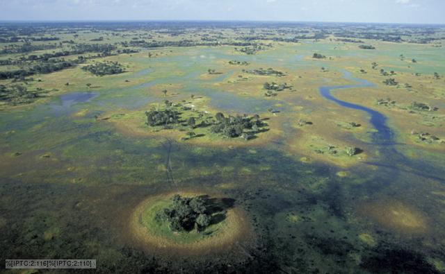 Amazon River Facts Bbc