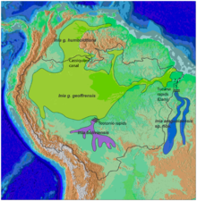 Amazon River Facts Wiki