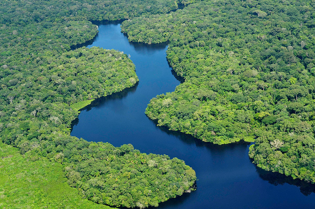 Amazon River Facts Wiki