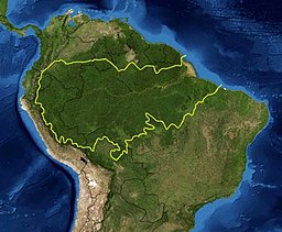 Amazon River Facts Wiki