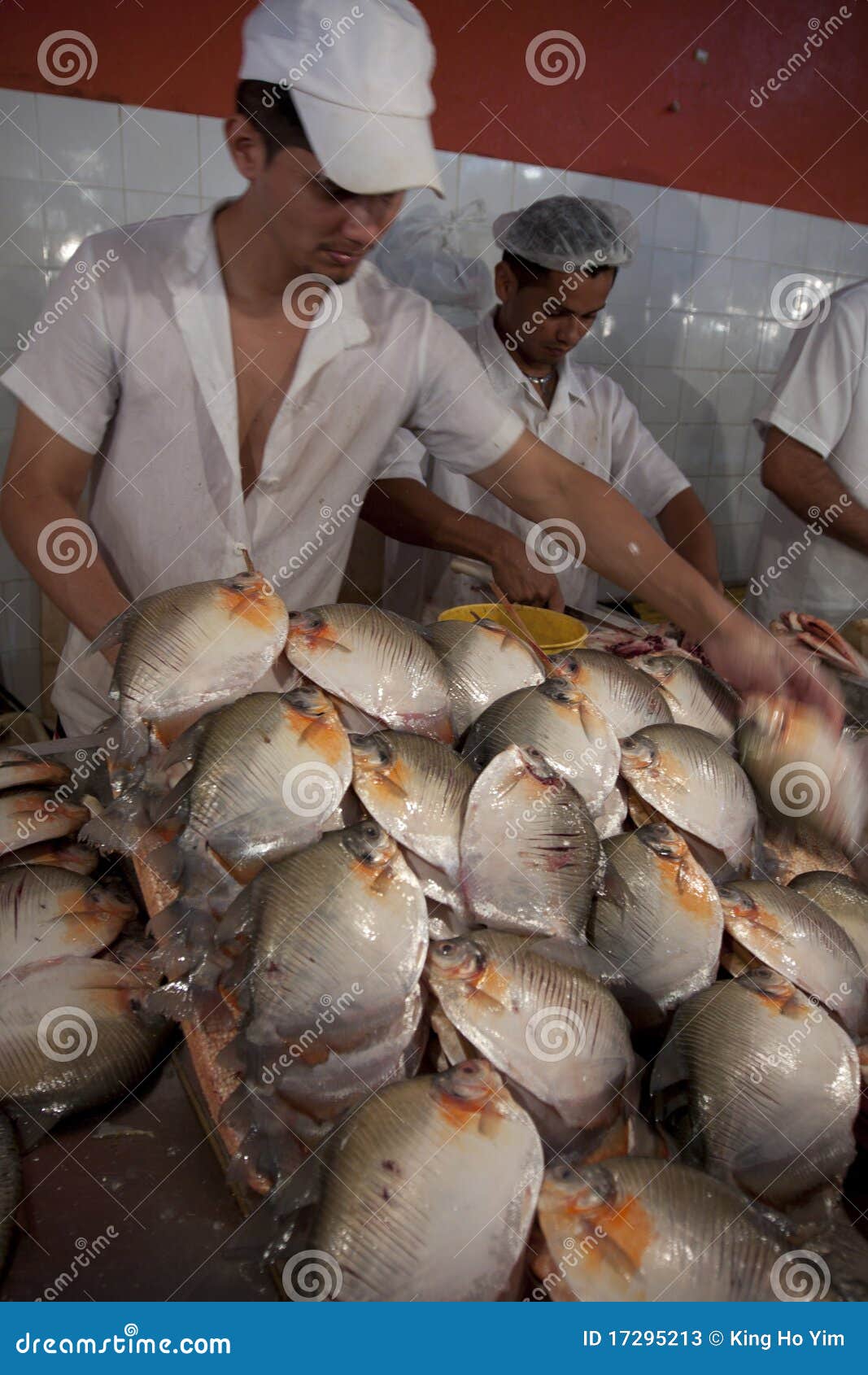 Amazon River Fish