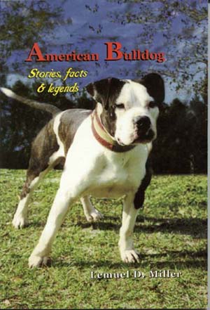 American Bulldog Johnson Breed Info