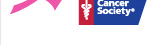 American Cancer Society Logo Meaning