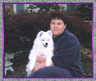 American Eskimo Dog Breeders In Michigan