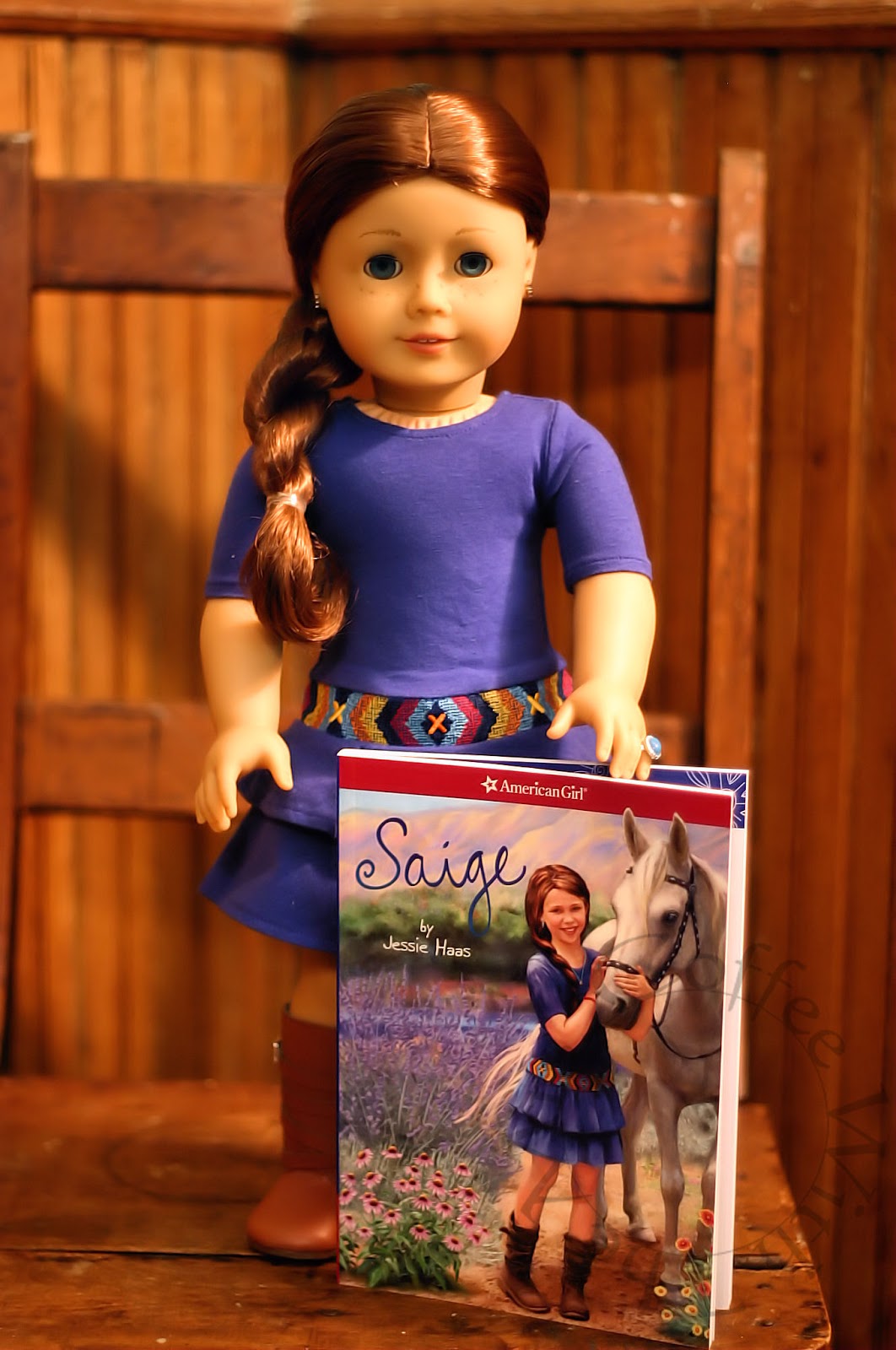 American Girl Doll Saige Accessories