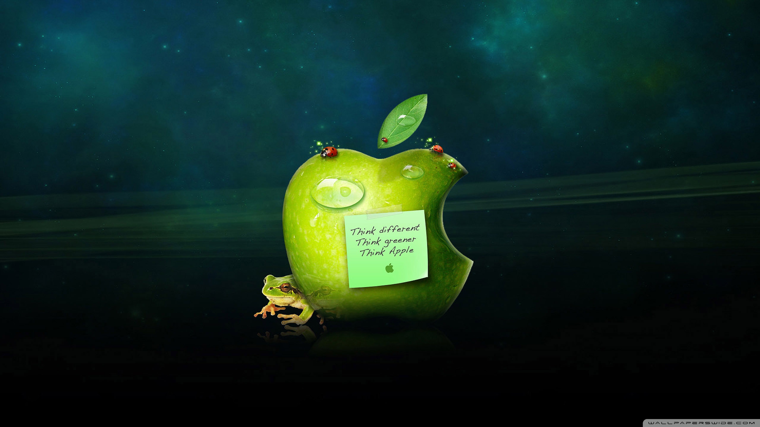 Apple Wallpaper