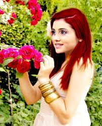 Ariana Grande Red Hair Dye Name