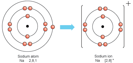 Atomic Number Of Sodium Ion