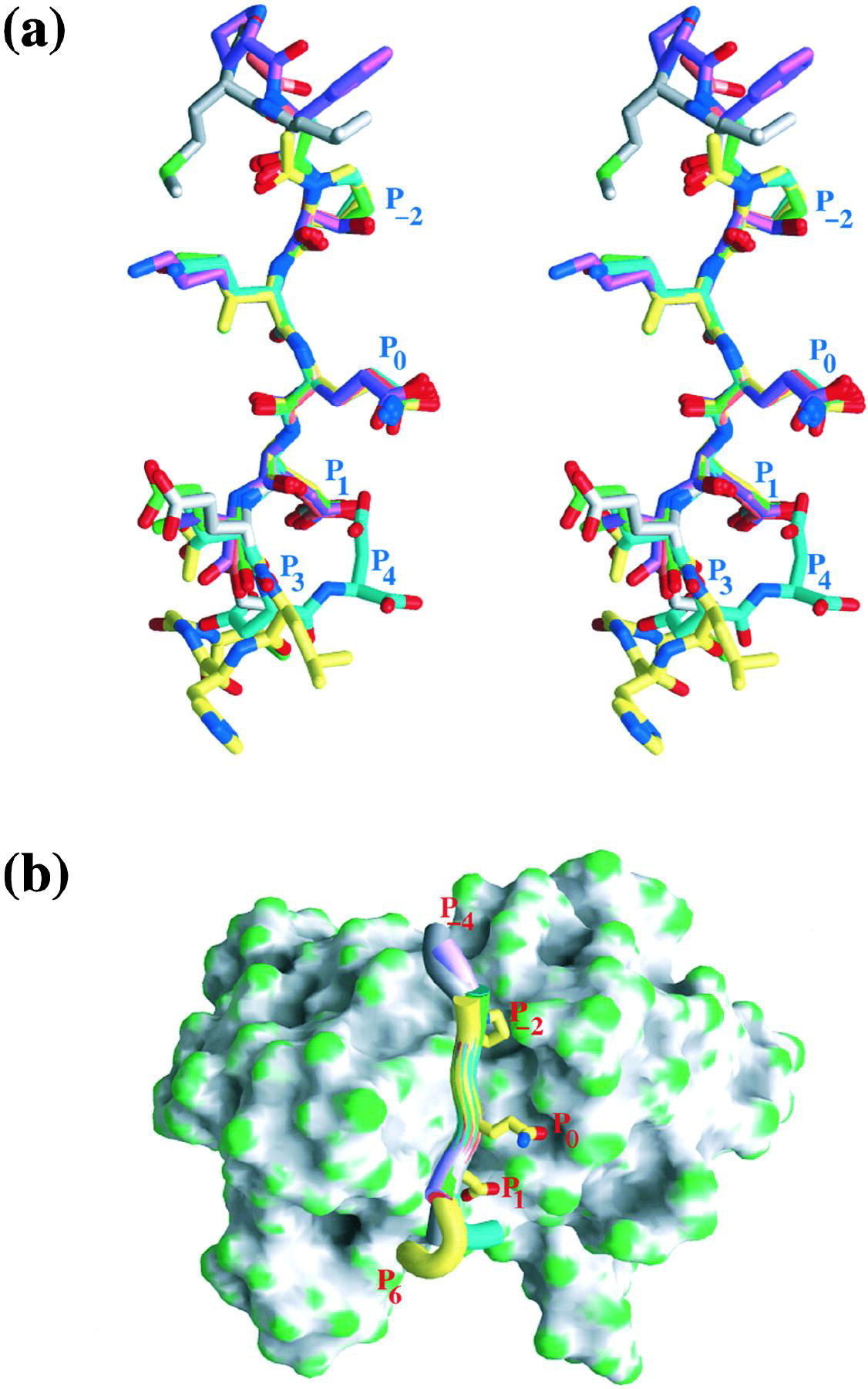 Atomic Structure Of Carbon