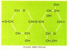 Atomic Structure Of Carbon Dioxide