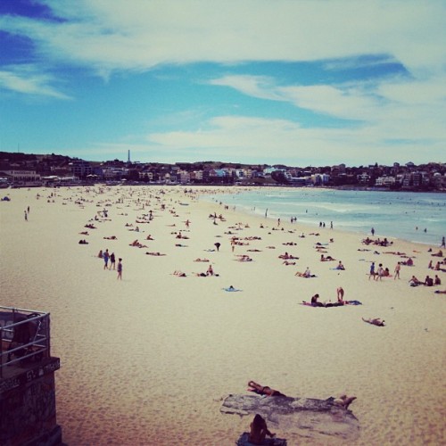 Australia Day Beach Sydney