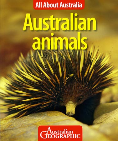 Australian Animals Pictures And Facts For Kids