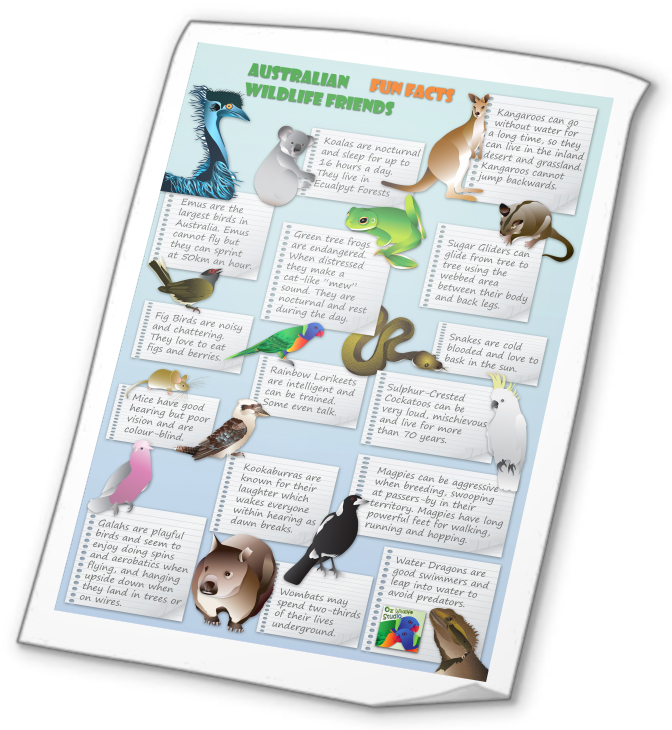 Australian Animals Pictures And Facts For Kids