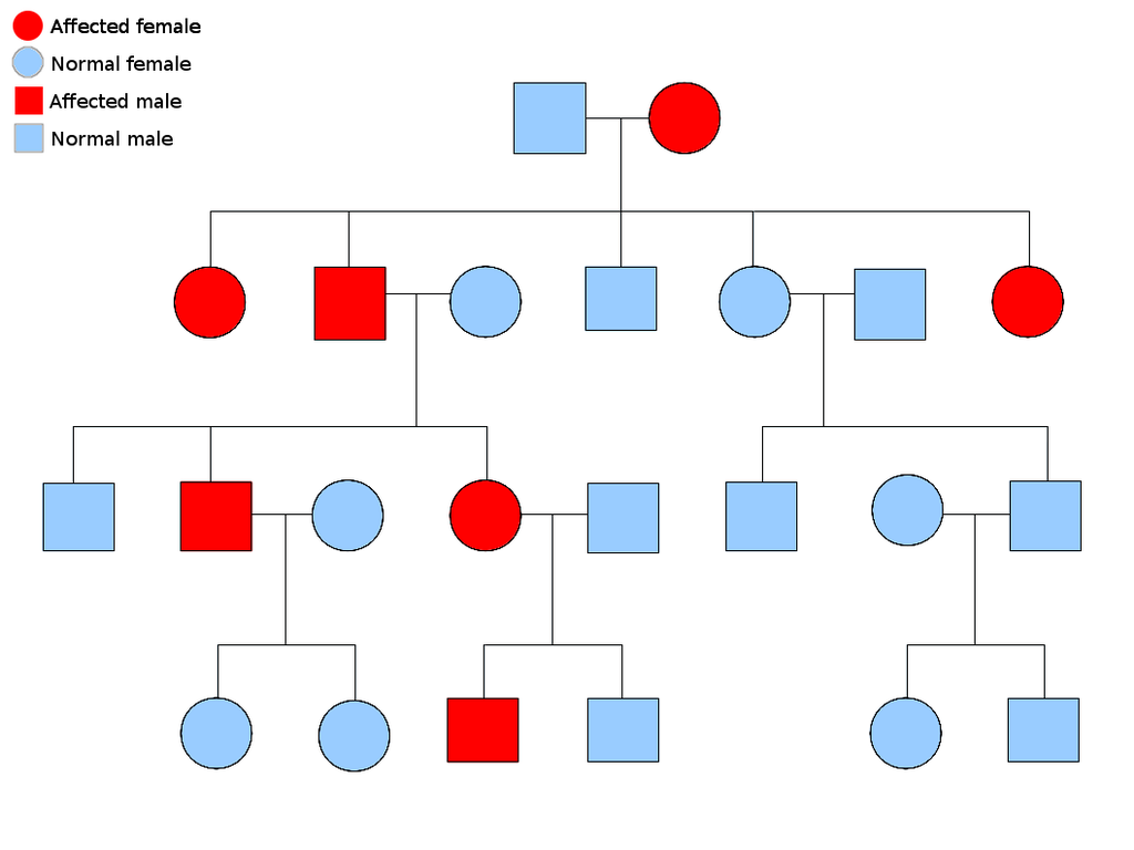 Autosomal Dominant