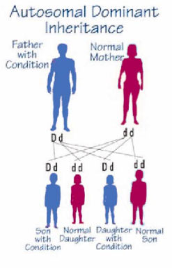 Autosomal Dominant