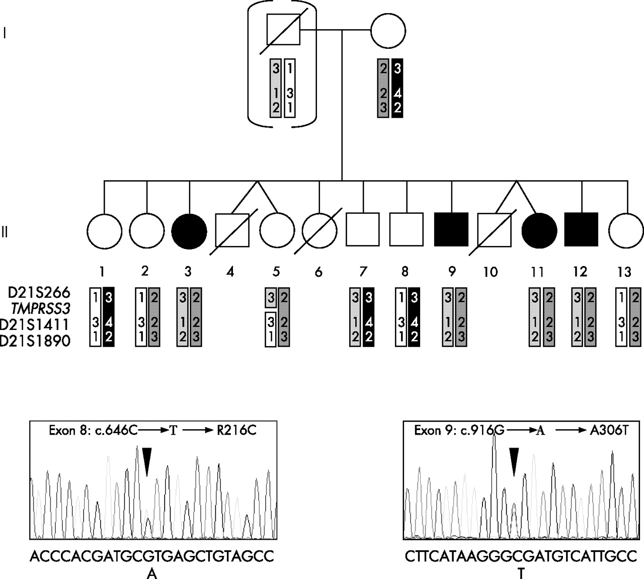 Autosomal Recessive