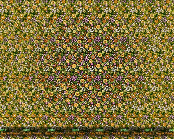 Autostereogram Butterfly