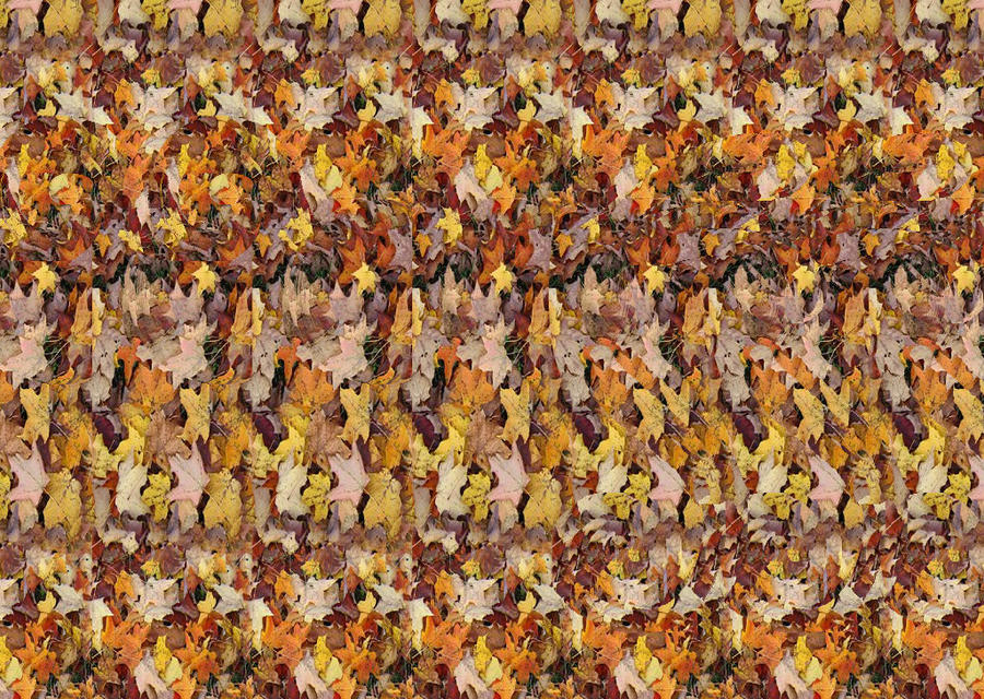 Autostereogram Horse