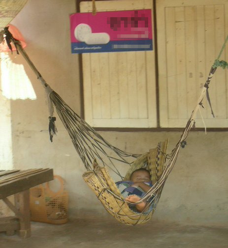 Babies Sleeping In Cots