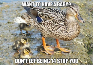 Bad Advice Duck