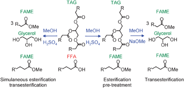 Base Catalyzed Esterification Mechanism