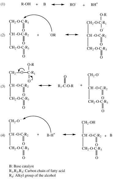 Base Catalyzed Esterification Mechanism