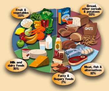 Basic Food Groups Chart