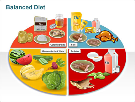 Basic Food Groups Chart