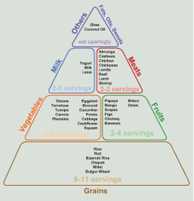 Basic Food Groups For Kids