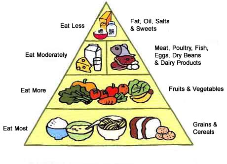 Basic Food Groups Pyramid