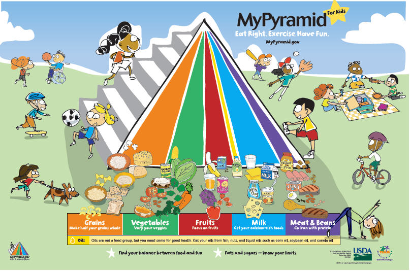 Basic Food Groups Pyramid