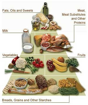 Basic Food Groups Pyramid