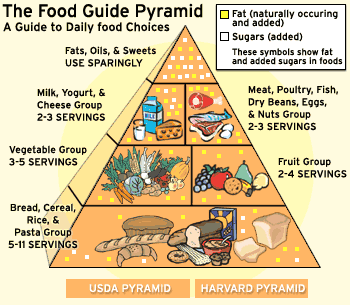 Basic Food Groups Pyramid