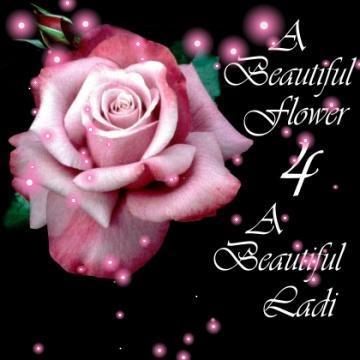 Beautiful Images Of Flowers With Quotes