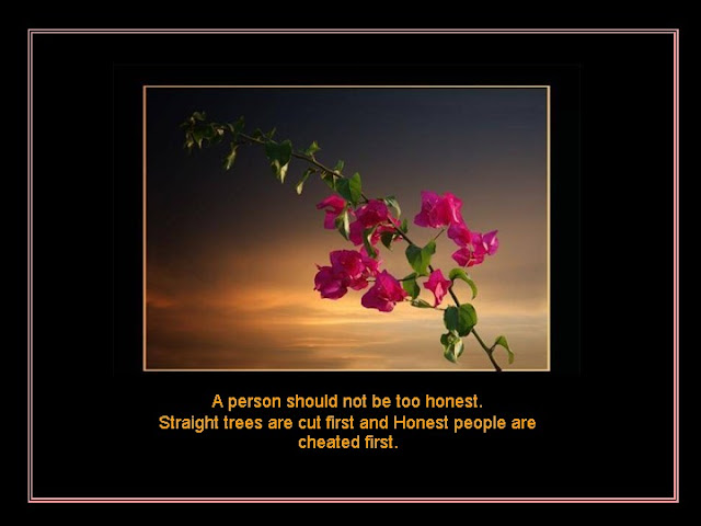 Beautiful Images Of Flowers With Quotes