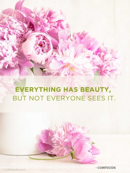 Beautiful Images Of Flowers With Quotes