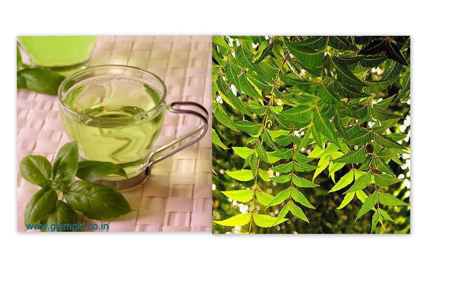 Benefits Of Green Tea For Skin And Hair