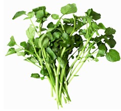 Benefits Of Watercress