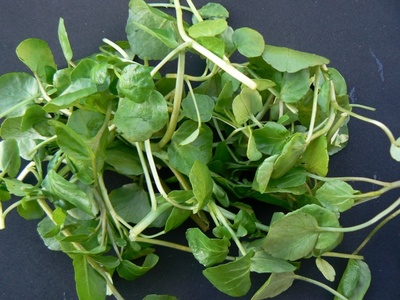 Benefits Of Watercress