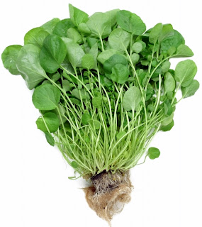 Benefits Of Watercress For Skin