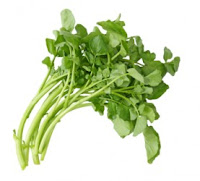 Benefits Of Watercress Herb