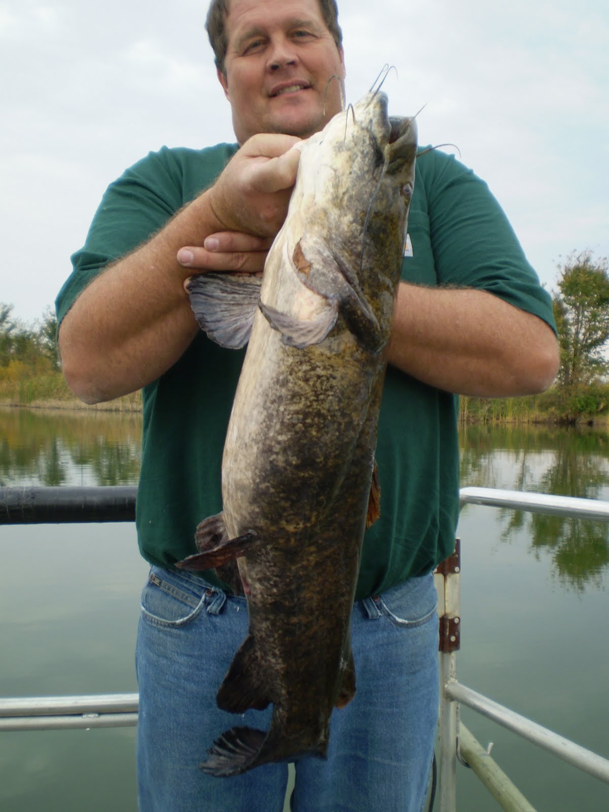 Big Flathead Catfish Pictures