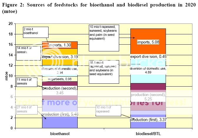 Biodiesel Feedstock