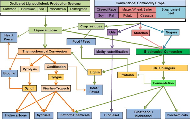 Biodiesel Feedstock Suppliers