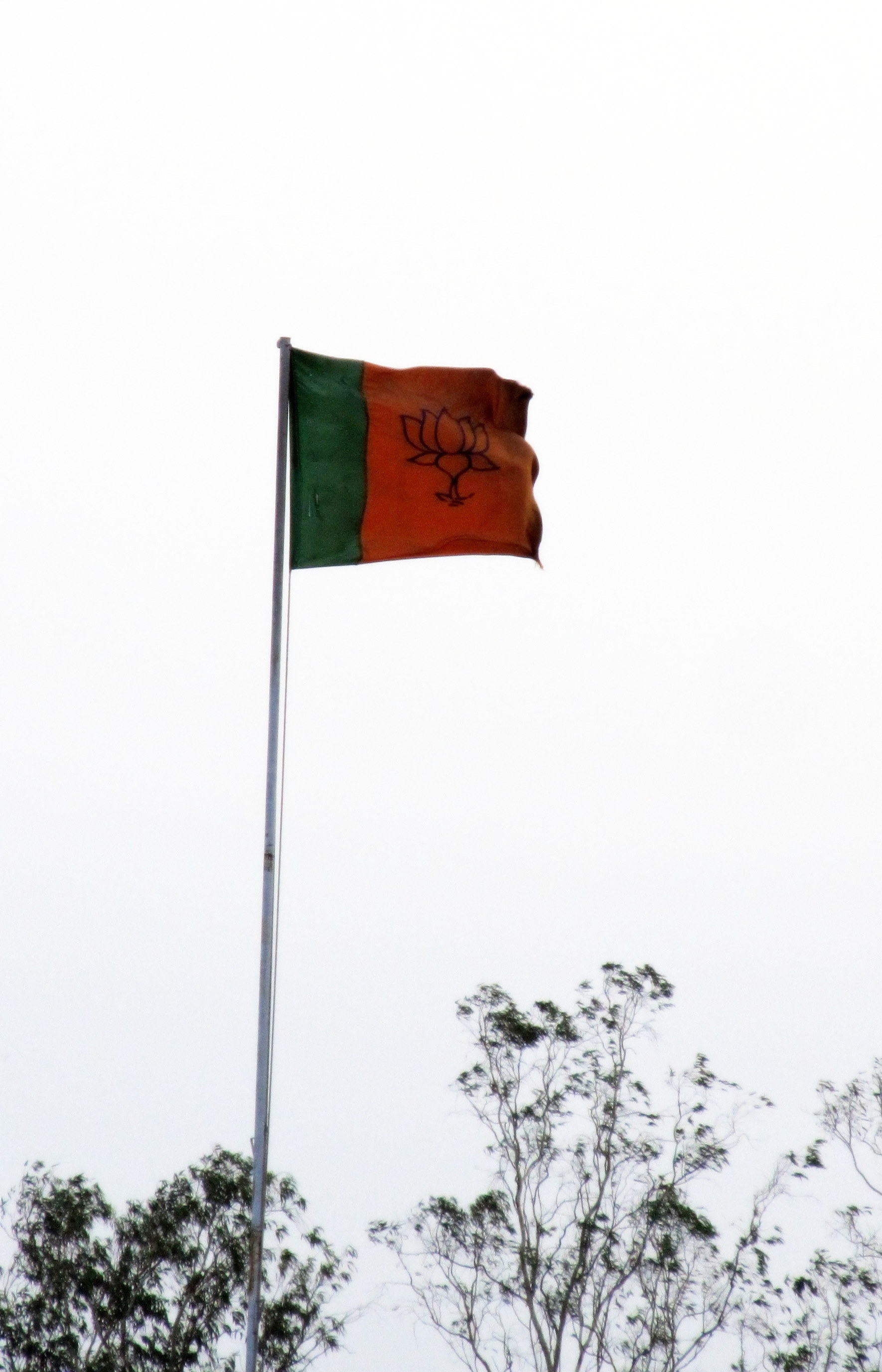 Bjp Flag Background