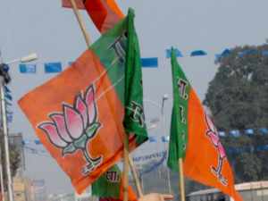 Bjp Flag Photos