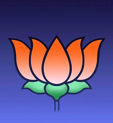 Bjp Symbol Lotus