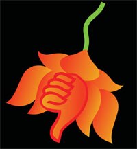 Bjp Symbol Lotus