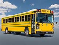 Bluebird School Buses For Sale